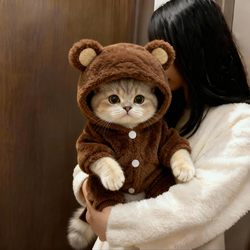 Cat Clothes for Autumn and Winter, Cute Bear Plush Hooded Cotton Coat, Warm and Anti-Shedding Four-Legged Outfit for Golden Tabby and Ragdoll Cats
