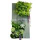 Simulation simulation plant 090 gardening creative shop potted photo frame model home wine bonsai ornaments planting green