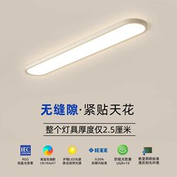 Full-Spectrum Nordic Ultra-Thin Seamless Crystal Panel Led Ceiling Light, Linear Strip for Corridor, Hallway, Balcony, 2026 Model