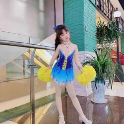 Cheerleading Uniforms for Girls, Performance Costumes for Students, Cheerleading Competition Uniforms, Sports Meet Aerobics Cheerleading Performance Costumes