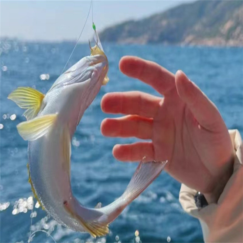 青岛海钓+出海钓鱼+小港钓鱼码头 一价全含/海上BBQ/含渔具鱼饵