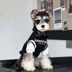 Puppy Clothes Schnauzer Teddy Pomeranian Autumn and Winter Two-Piece Winter Outfit Without Hood Pet Warm Puppy Clothing Trendy