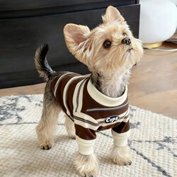Pet Striped Sweatshirt Dog and Cat Clothes Spring and Autumn Anti-Shedding Teddy Bichon Schnauzer Small and Medium-Sized Dogs Trendy