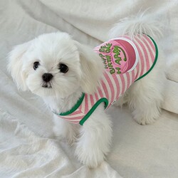 Cat and Dog Clothes, Small Dog Thin Striped Vest, Teddy, Bichon, Pomeranian Summer Anti-Shedding Pet Clothing