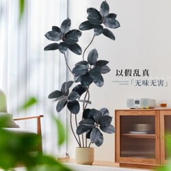 Simulated Rubber Tree Black Diamond Large Green Plant Potted Living Room Floor-Standing Ornaments Classy Accessible Luxury Classy Landscaping Tree