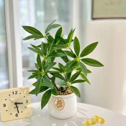 Artificial Flowers, Artificial Bonsai, Monstera Leaf, Living Room Decorations, Fake Flowers, Office Green Plants, Bonsai, Money Tree, Hotel, Guesthouse