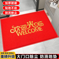 Welcome to the Entrance Mat That Removes Dirt and Dust, Commercial Store Large-Sized Carpet, Hotel Welcome Mat