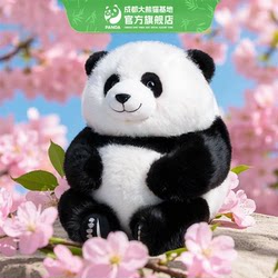 Official 27cm Huahua Plush Toy from Chengdu Giant Panda Base, Souvenir Doll, Birthday Gift