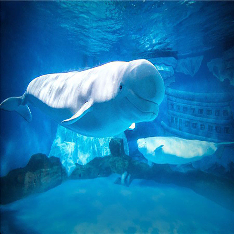 大连旅游4天3晚 一家一车 专车接送+棒棰岛+日俄监狱+自由活动