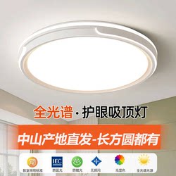 Zhongshan Bedroom Round Ceiling Light Rural Self-Built House Entrance Ceiling Light Room Light Children's Room Study Balcony Light