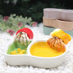 Hermit crab double compartment three water basin feeding