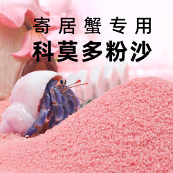 Hermit crab-specific powder is almost dust-free