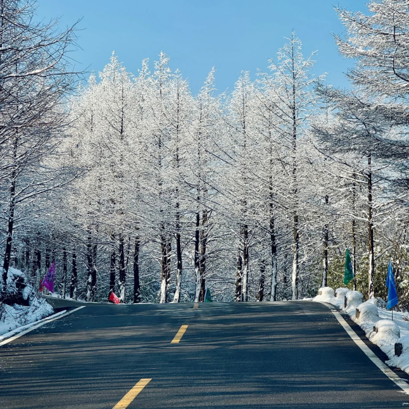 重庆武隆仙女山天生三桥龙水峡地缝乌江芙蓉江游船2天1晚跟团游
