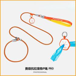 Puppy Training P-Rope Competition-Grade Training Dog Leash, Non-Painful One-Piece Collar, Pet Traction Chain, Dog Training Pet Leash