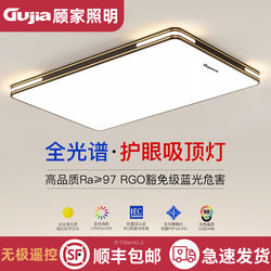 Gujiacan Full-Spectrum Living Room Lamp Led Ceiling Light, Simple Modern Elegant Hall Lamp, Creative Bedroom Corridor Lighting