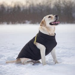 Dog Clothes for Autumn and Winter, Fleece-Lined, Thickened, Warm Vest, Cotton Coat for Labrador, Golden Retriever, Rottweiler, Large Dog Clothes
