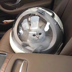 German Von Pet Travel Space Capsule Cat Multifunctional Airline Carrier Portable Breathable Cat Bag Suitable for All Seasons