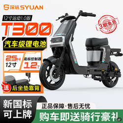 Deepin T300 Sports Edition 1.0 New Model New National Standard Electric Bicycle Black Knight Delivery Bike Commuting Electric Scooter