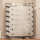 Door shoe rack household indoor multi-layer dustproof 2025 new style dormitory corridor corridor entrance shoe storage shoe cabinet