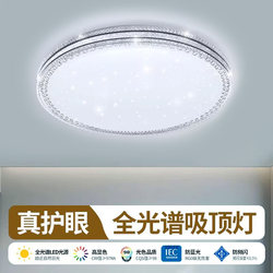 High-End Living Room Chandelier, Ceiling Light for Main Bedroom, Modern and Simple Design, 2026 New Model, Zhongshan