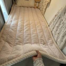 Ins Korean-Style Thickened Warm Winter Milk Velvet Mattress Pad for Home Bedroom Protection Pad Dormitory Student Mattress Pad a