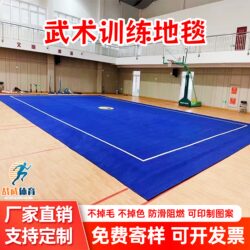 Martial Arts Carpet, Dance, Opera, Artistic Gymnastics Mat, Martial Arts Routine Competition Training Special Mat, Cheerleading Roll Mat