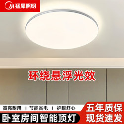 Mengxi Balcony Corridor Ceiling Light, High-End Kitchen Lighting Led Light, Ultra-Thin Round Shape, Super Bright, Modern and Simple, 36W
