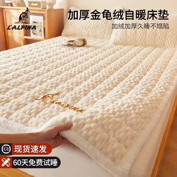 Lalpina Milk Velvet Mattress Cover for Home Bedroom, Soft Cushion, Thickened Winter Mattress Pad, Bedding for Dormitory