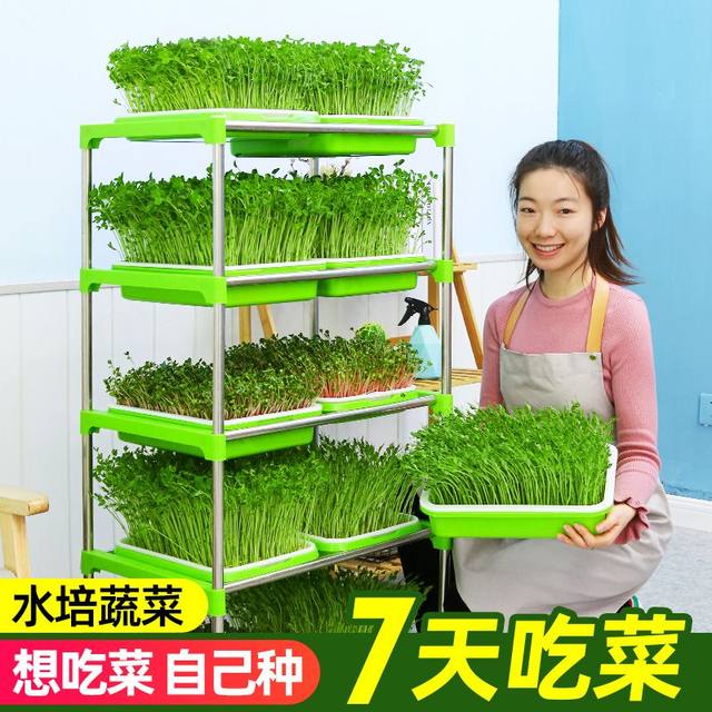 Hydroponic vegetable sprouts, bean sprouts, sprout tray, sprout tray, shelf, balcony vegetable planting tray, gardening supplies