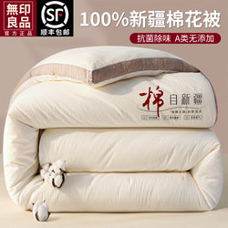 Muji Xinjiang First-Grade Pure Cotton Quilt Winter Quilt Thickened Warm Cotton Quilt Spring and Autumn Long-Staple Cotton Quilt Core