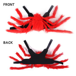 Amazon Pet Halloween Christmas Harness Creative Cat, Dog, Small Dog Spider Transformation Costume