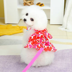 2023 new fancy traction skirt dog clothing Teddy Pomeranian pet dog clothes spring and summer cute and fashionable