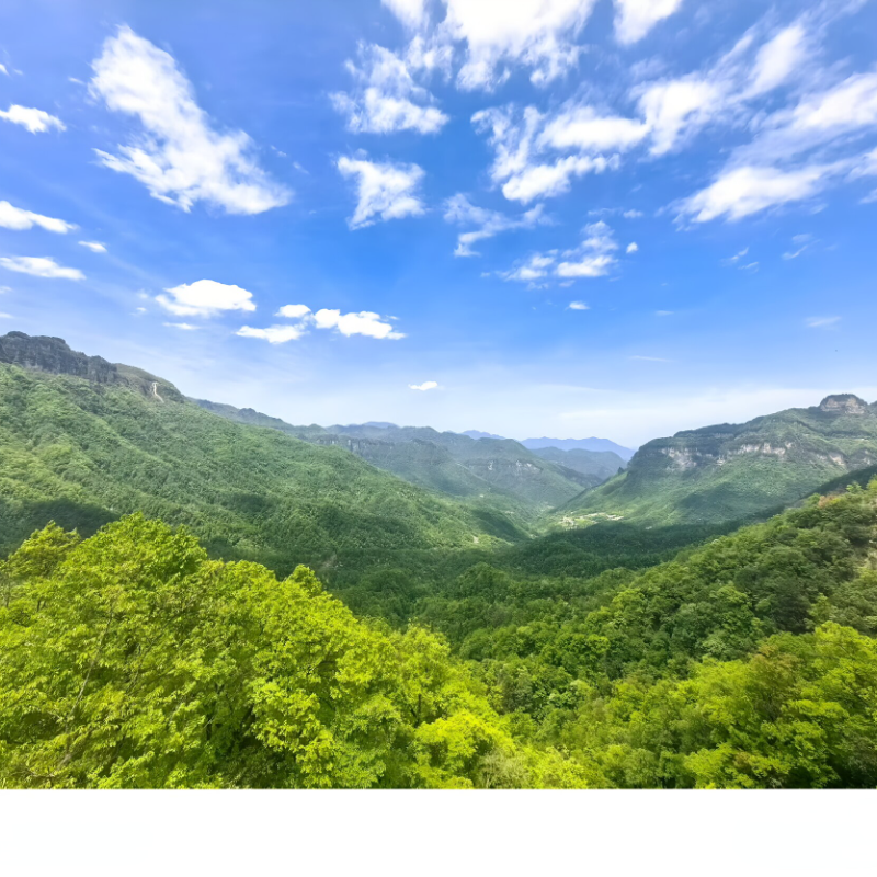 【精华游】郴州+武汉+神农架自由行6天5晚丨黄鹤楼/亚朵酒店