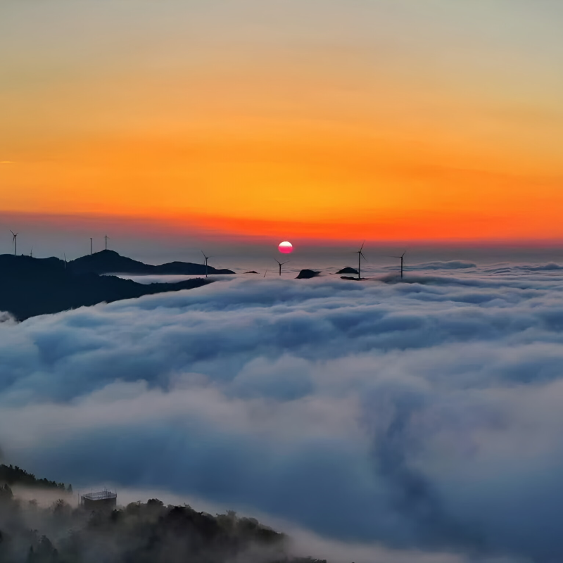 【信阳旅游】武汉出发大美信阳鸡公山/茶文化文新茶村/汽车二日游