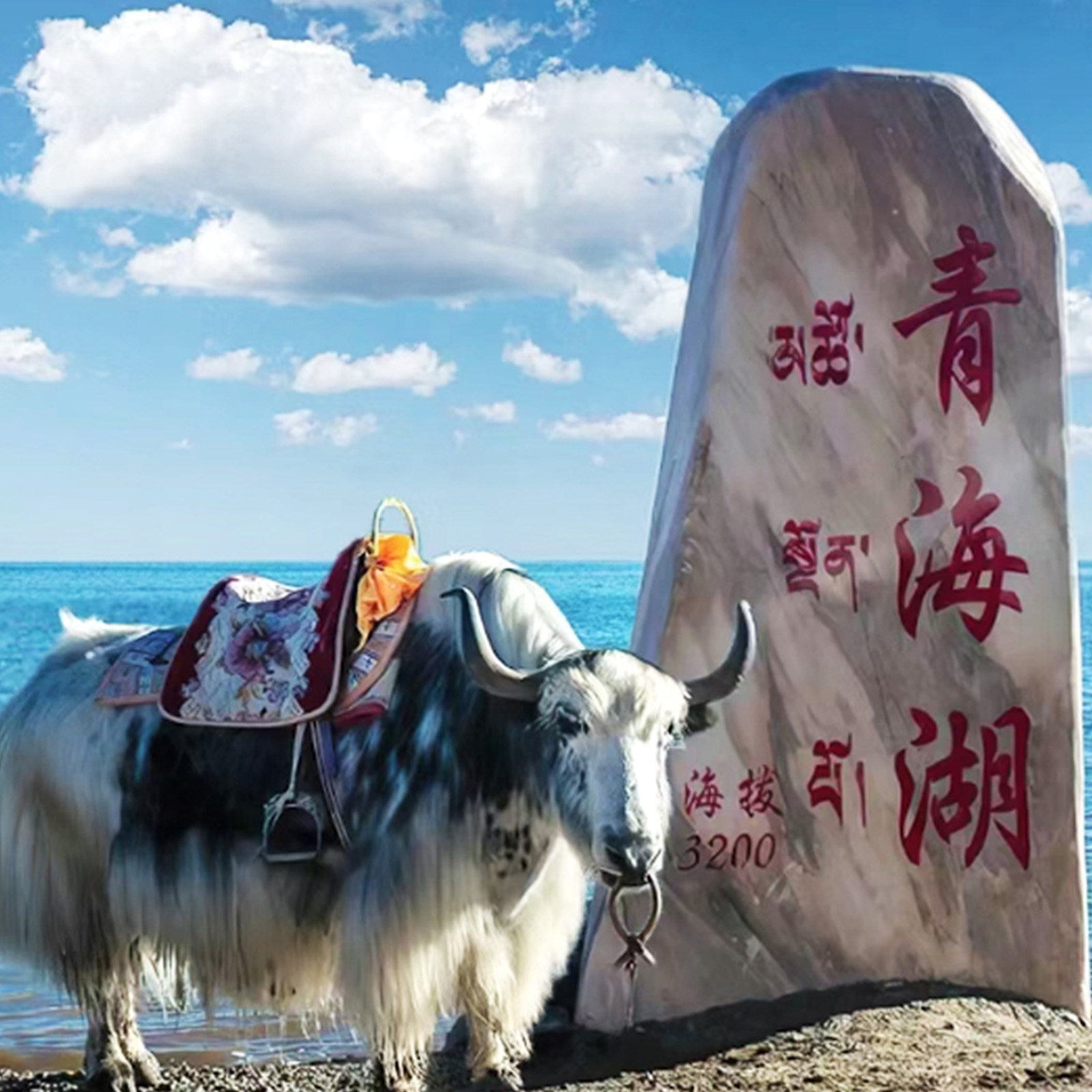 青海湖+茶卡盐湖+日月山+金银滩2天1晚8人精品团