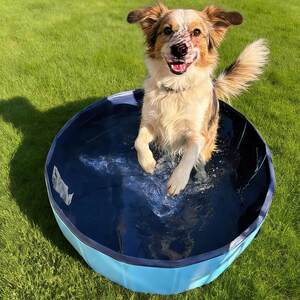 
Pet bath basin, foldable cat litter box, cat and dog pool, grooming and cleaning, cross-border pet supplies, hot-selling products in one piece
