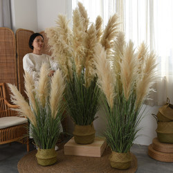 Artificial Reed Green Plant Potted Natural Cattail Dried Flower Indoor Homestay Shop Window Decoration Ornament