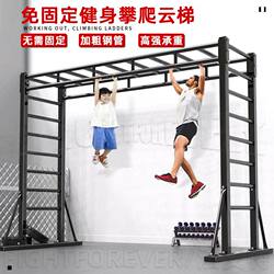 Fixed-Free Single and Double Bar Indoor and Outdoor Comprehensive Fitness Ladder for Home Use