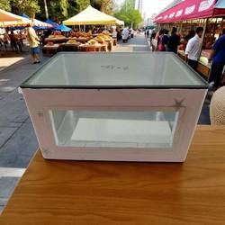Foam Box Visual Insulation Box with Transparent Lid for Commercial Use, Suitable for Sandwiches, Cakes, Burgers, Desserts, and Ice Jelly