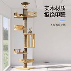 Cat Climbing Frame for Home Use, Made of Solid Wood, with a Space Capsule Design, Integrated Ceiling-To-Floor Structure, Suitable for Small Apartments, with Perforated Ceiling, Clearance Sale for Cats to Climb