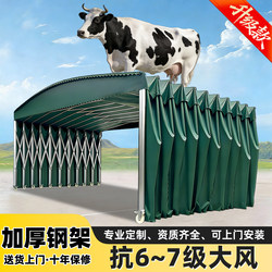 Outdoor Rainproof Mobile Sliding Retractable Car Tent, Stall Canopy, Parking Shed, Sunshade Tent