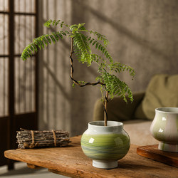 Jingdezhen Ceramic Flower Pot with Flowing Water Design, Creative Glazed Decoration for Living Room, Home Decor, Green Plant Bonsai Vase