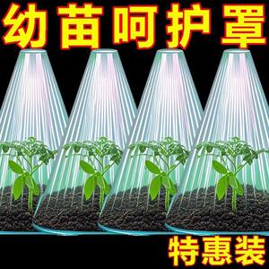 
Seedling protection transparent bell jar reusable square greenhouse plant greenhouse from birds frost damage thickened