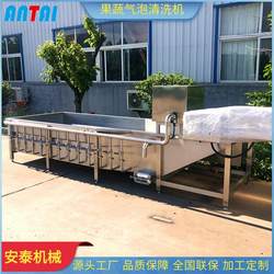 Prepared vegetable processing equipment Cabbage bubble cleaning machine Eggplant cleaning machine Tomato and pepper cleaning machine