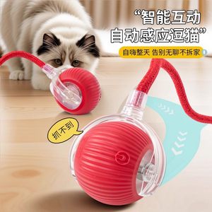 Cat toys automatically teasing cat ball Self -relief, Small Smart Stuff, Smart Stub, Catal Constellation Consumption Stealing Ball Electric Dog Ball