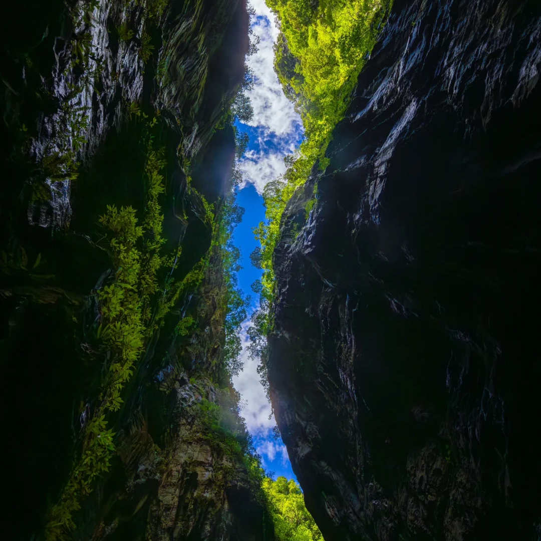 武陵山大裂谷+816工程景区&2-8人拼团游&纯玩&重庆三大城区上门接