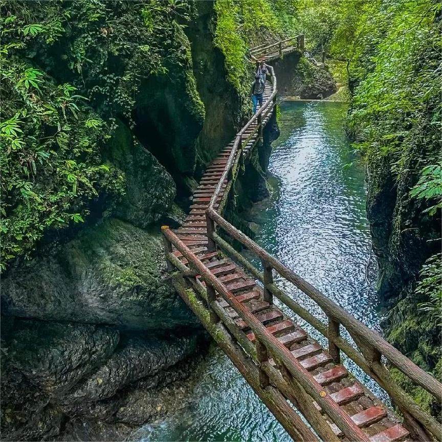 青城山+三星堆1日游私家团/含门票&纯玩&成都三环内上门接~