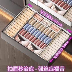 Underwear Storage Box with Lid for Home Wardrobe, Dustproof, Socks and Intimate Clothing Compartment Organizer, Three-In-One