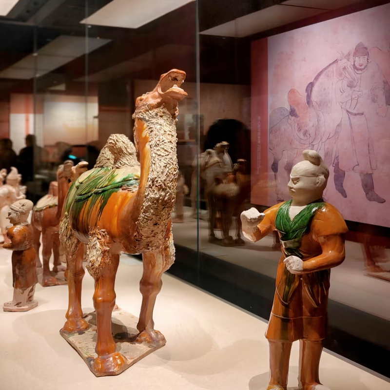 汀兰集 河南博物院一日游 资深讲师2小时深度讲解 独立成团