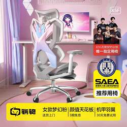 Xiaoqi X5S Unicorn Pink Girls' Ergonomic Gaming Chair Home Computer Chair Office Gaming Chair